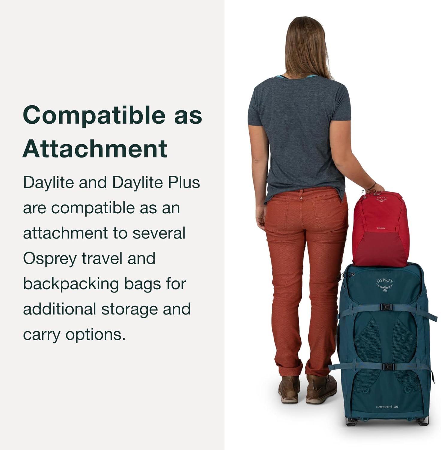 Osprey Daylite Plus Commuter Backpack, Green OS | everyday bag, campus pack, laptop carry, Green color, OS size - Image 6