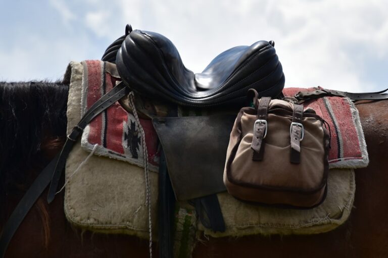 Exploring the World: Gear You Can’t Travel Without