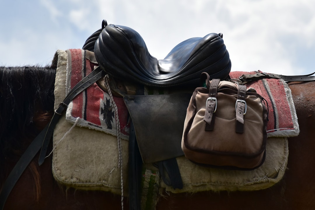 blog_6